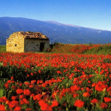 Maison De Village De 98 M2 Typiquement Provencale Pierrevert Εξωτερικό φωτογραφία
