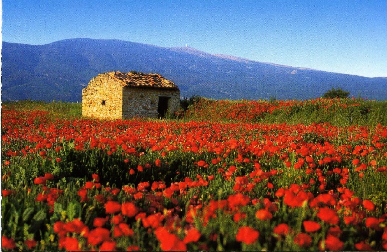 Maison De Village De 98 M2 Typiquement Provencale Pierrevert Εξωτερικό φωτογραφία